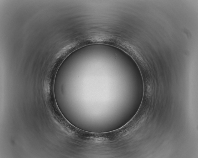 X0000112800539200908281530