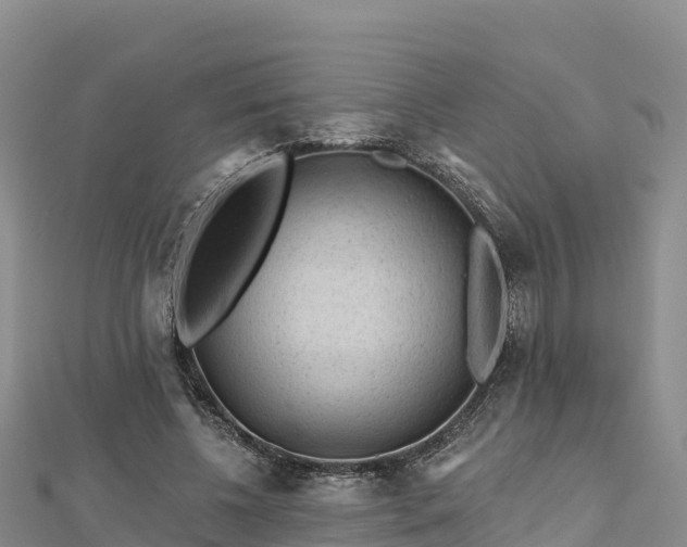 X0000112800540200908281530