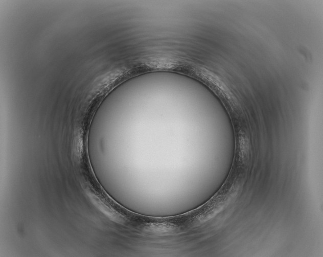 X0000112800541200908281530