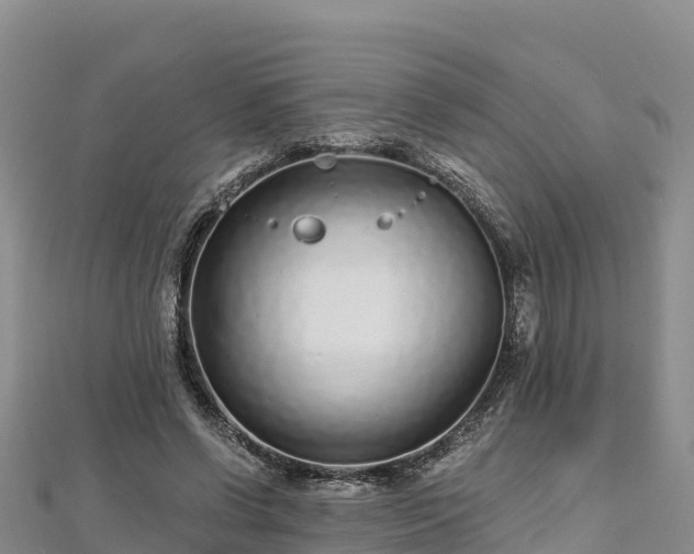 X0000112800542200908281530