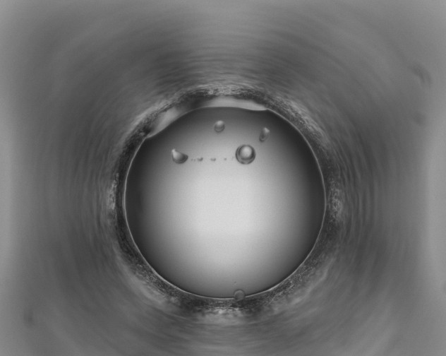 X0000112800543200908281530