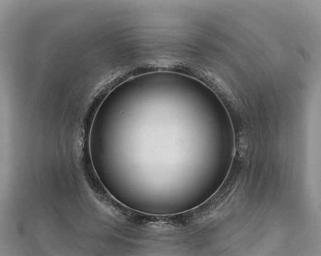 X0000112800544200908281530