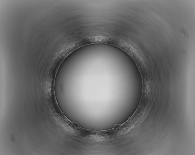 X0000112800545200908281530