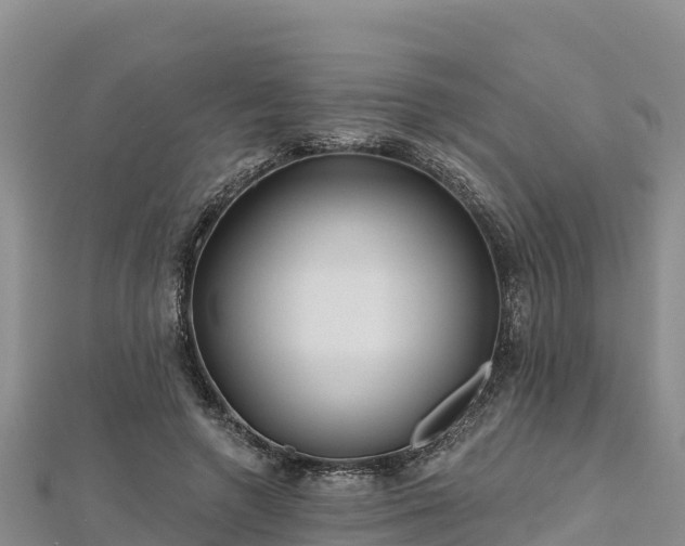 X0000112800546200908281530