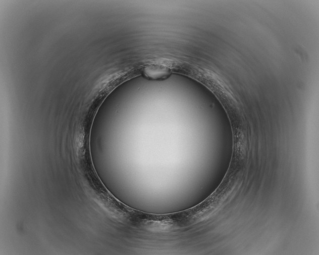 X0000112800548200908281530