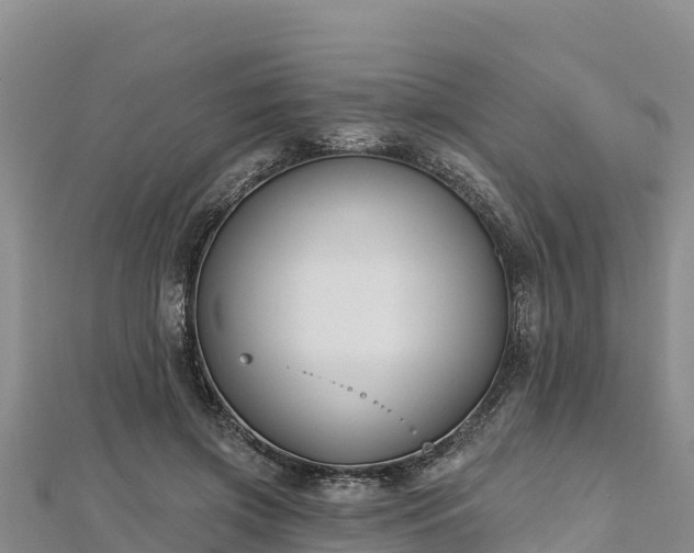 X0000112800549200908281530
