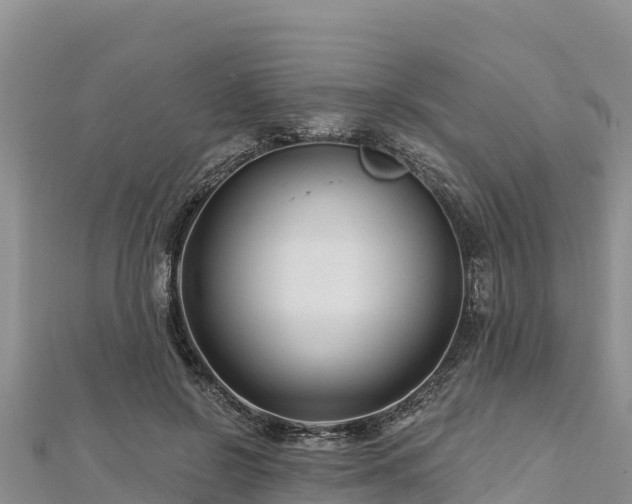 X0000112800550200908281530