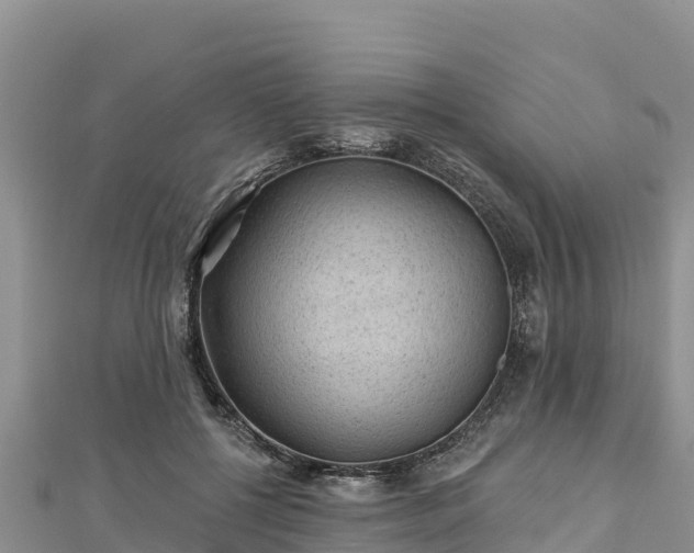 X0000112800552200908281530