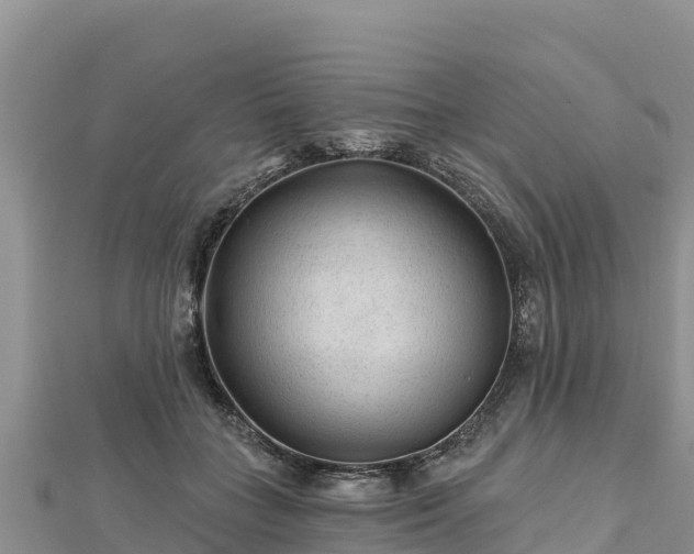 X0000112800555200908281530