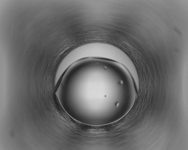 X0000112800556200908281531