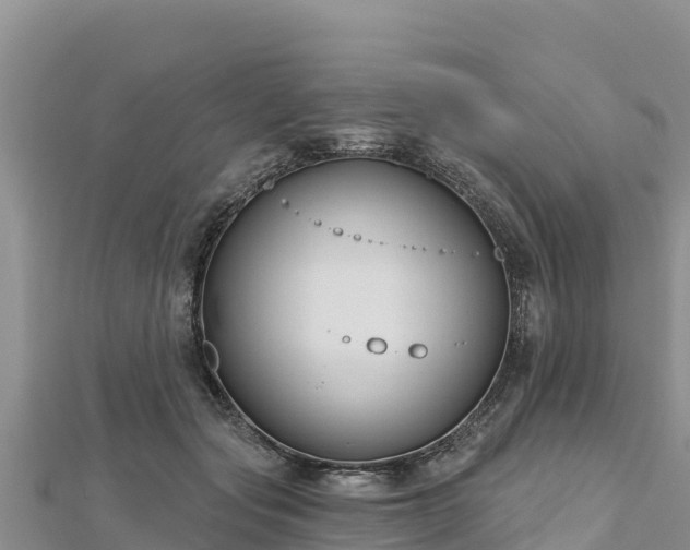 X0000112800557200908281531