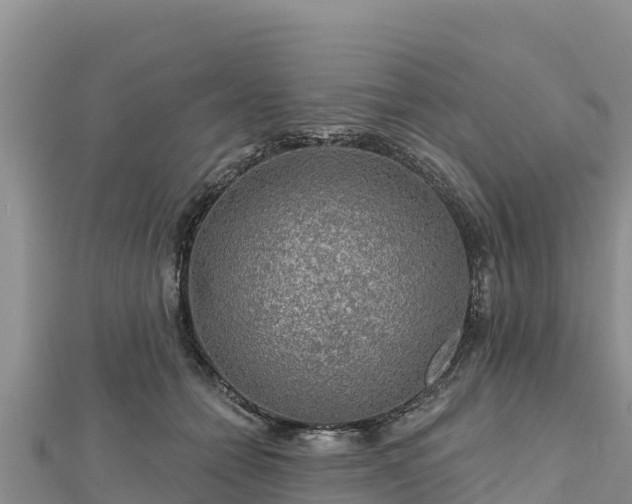 X0000112800558200908281531