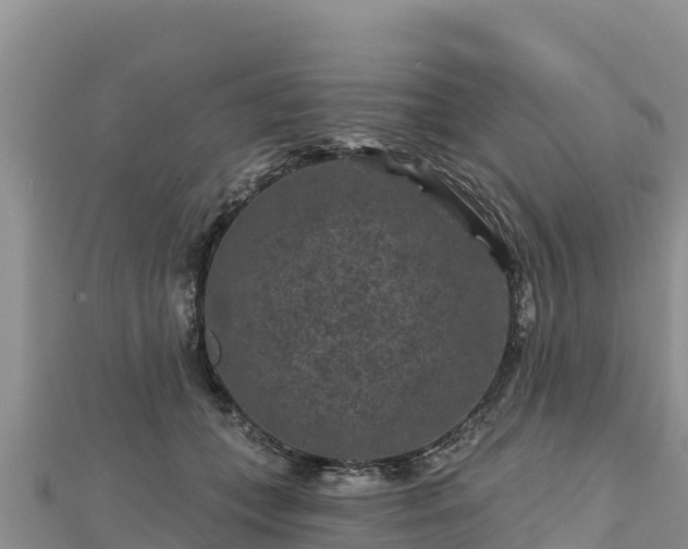 X0000112800559200908281531