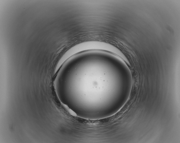 X0000112800560200908281531