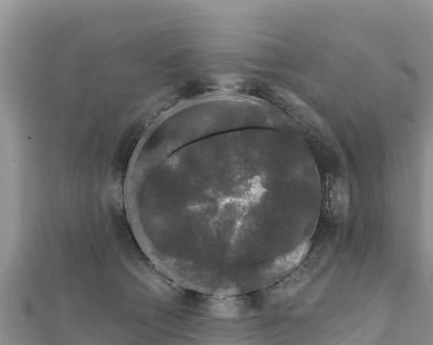 X0000112800562200908281531