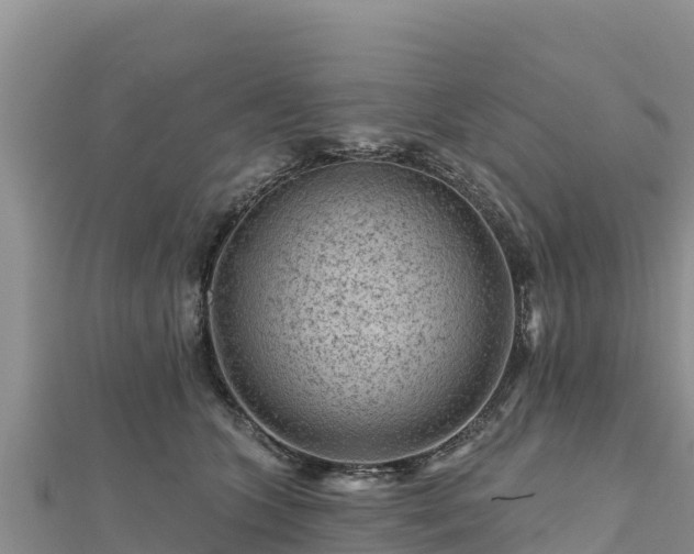 X0000112800563200908281531