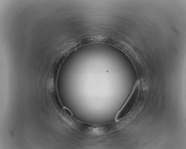 X0000112800564200908281531
