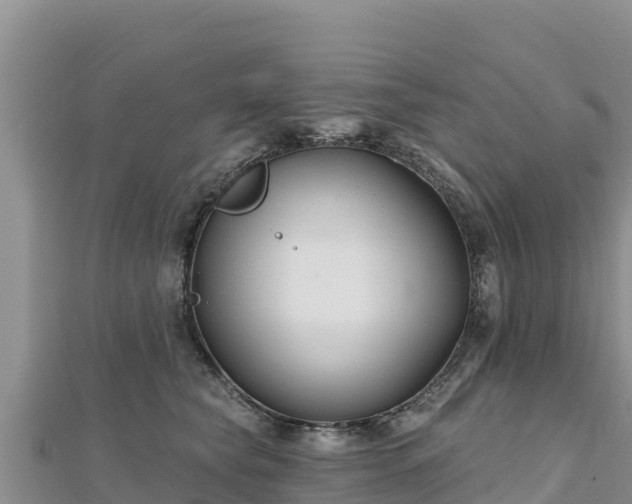 X0000112800565200908281531