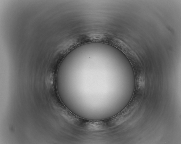 X0000112800567200908281531