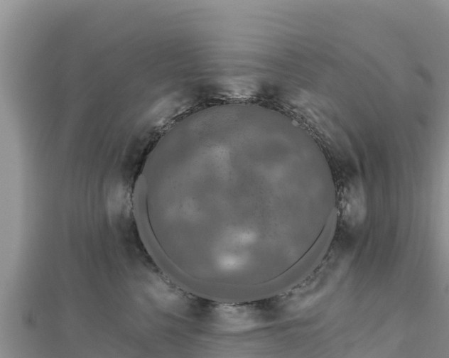 X0000112800568200908281531