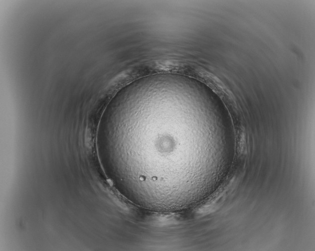 X0000112800569200908281531