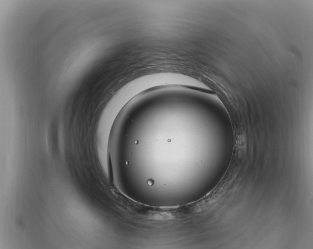 X0000112800572200908281531