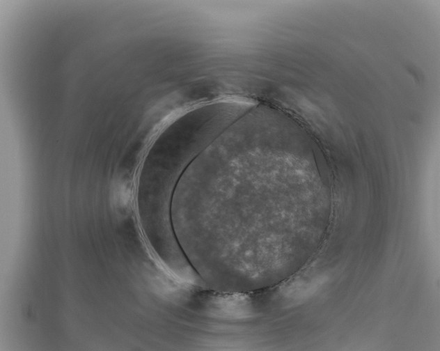 X0000112800576200908281531
