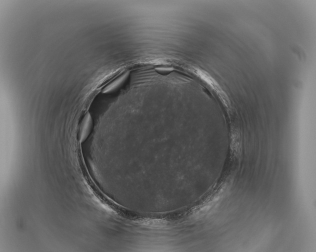 X0000112800577200908281530