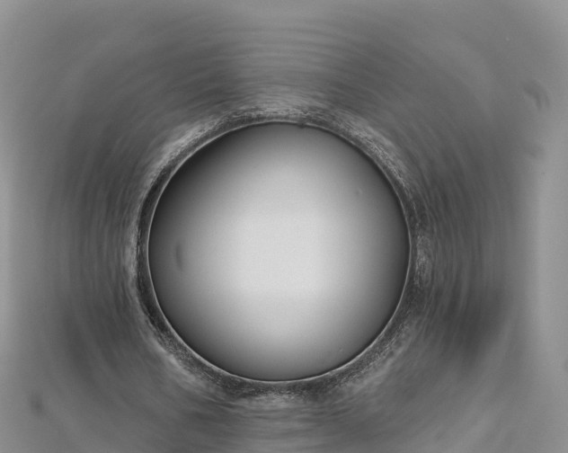 X0000112800578200908281530