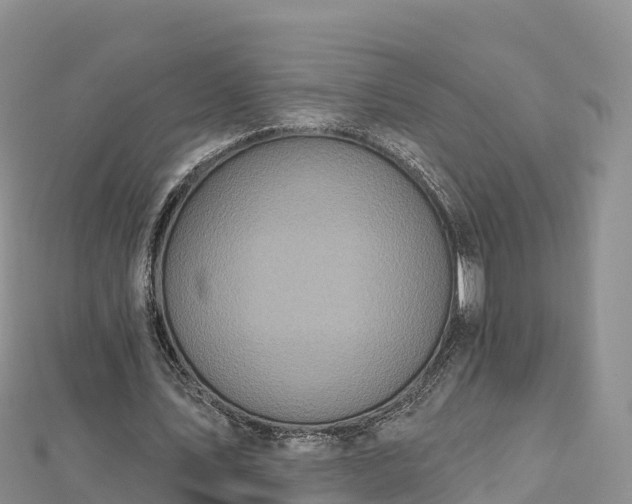 X0000112800579200908281530