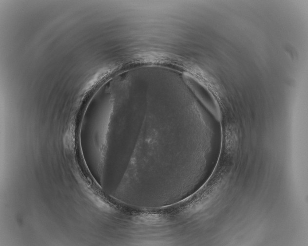 X0000112800581200908281530