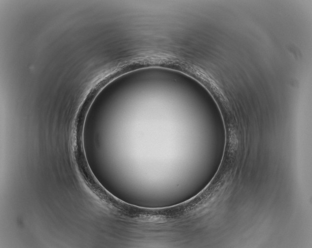 X0000112800582200908281530