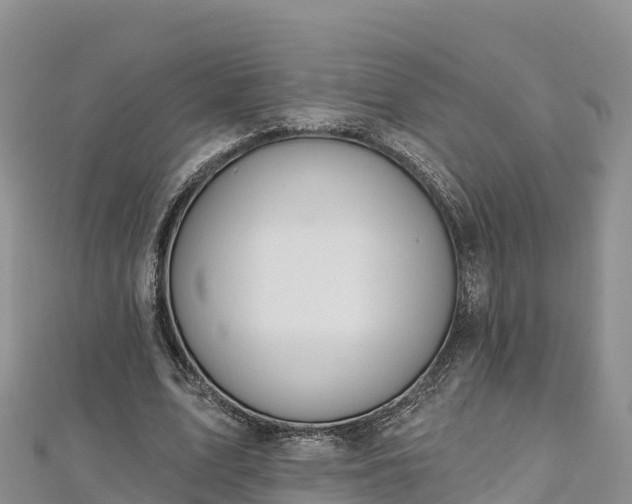 X0000112800583200908281530