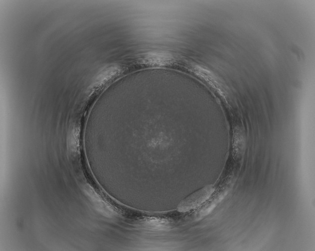 X0000112800585200908281530