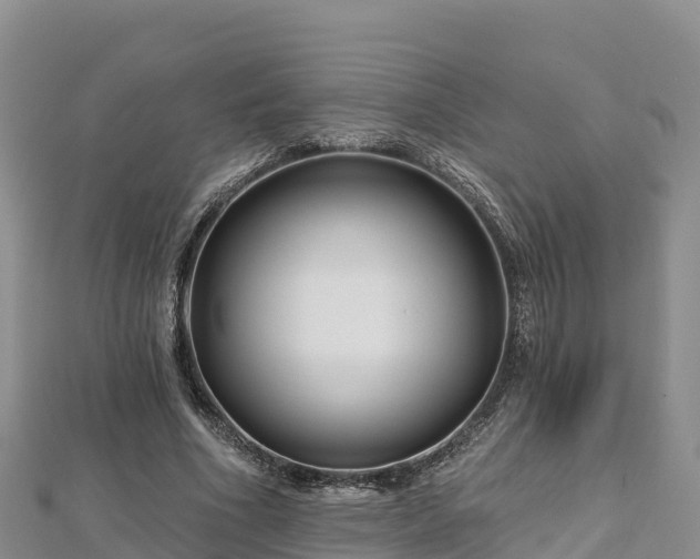 X0000112800586200908281530