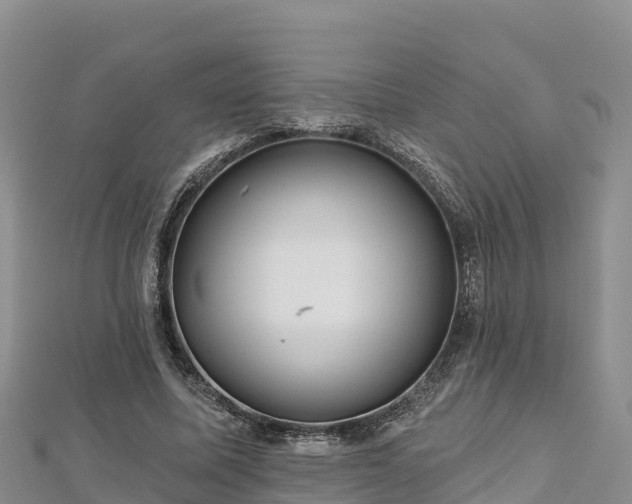 X0000112800587200908281530