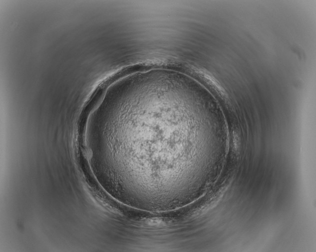 X0000112800588200908281530