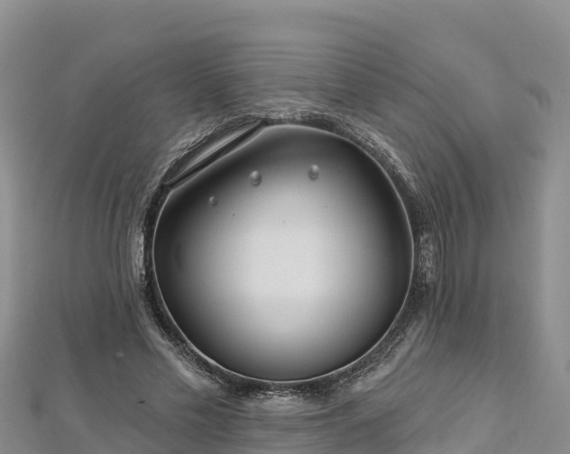 X0000112800589200908281530