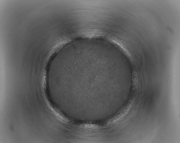 X0000112800590200908281530