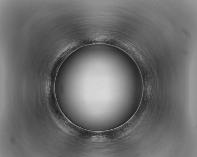 X0000112800591200908281530