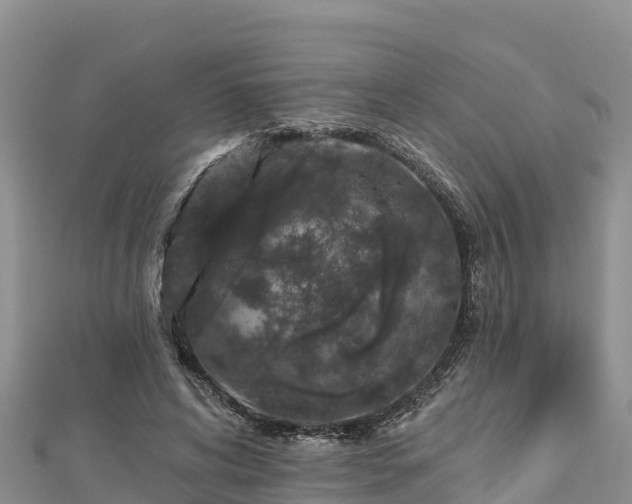 X0000112800592200908281530