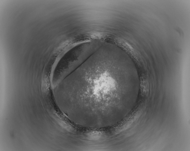 X0000112800593200908281530