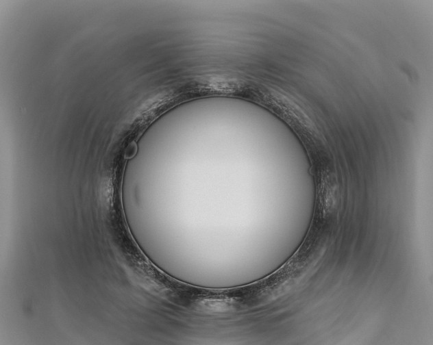 X0000112800595200908281530