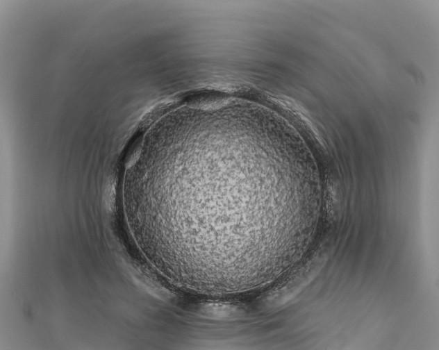 X0000112800596200908281530