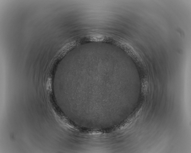 X0000112800598200908281530