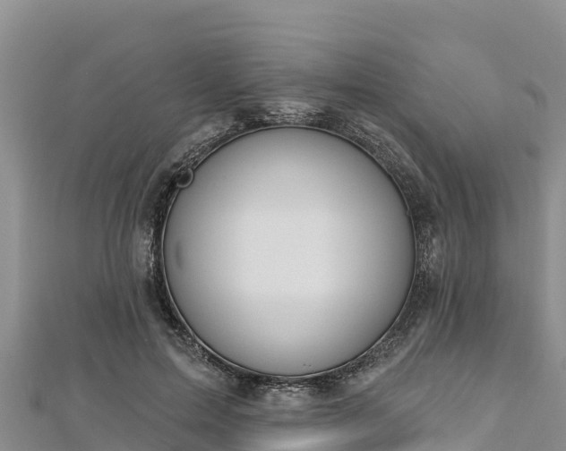 X0000112800599200908281530