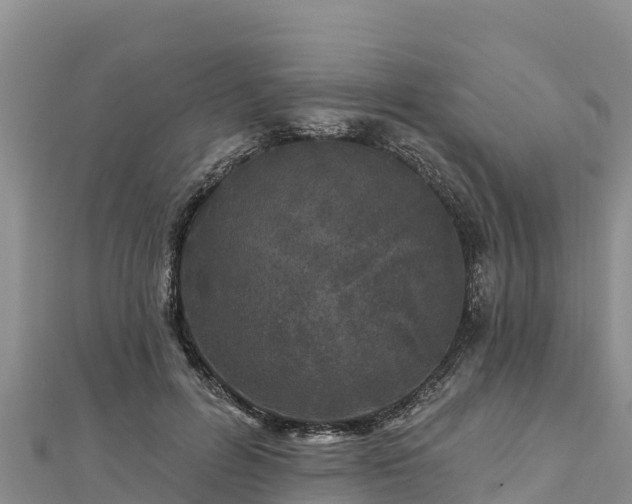X0000112800600200908281530
