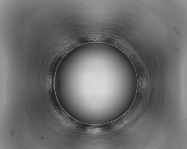 X0000112800602200908281530