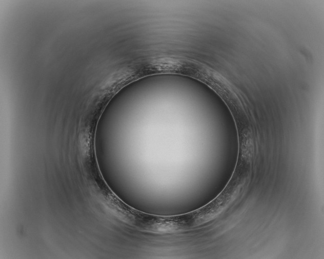 X0000112800604200908281530