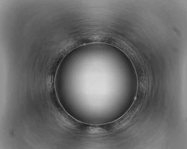 X0000112800605200908281530